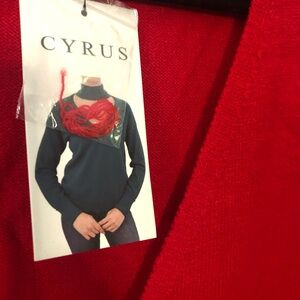 Cyrus Red Cowl Neck Sweater